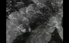 three skips of a louse